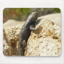 Recherche de épineux tapis souris Animal