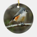 Recherche de mésange tuftée Birder