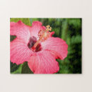 Recherche de vue gros plan puzzles Cindy miller hopkins