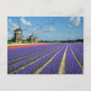 Recherche de bulbe cartes postales Paysage