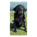 Recherche de labrador retriever posters Chiot
