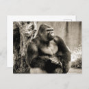 Recherche de monochromatique cartes postales Nature