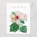 Recherche de état hawaii cartes postales Travel