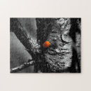 Recherche de coccinelles puzzles Insecte