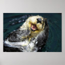 Recherche de loutre mignonne posters Drôle