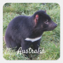 Recherche de faune australienne autocollants Marsupial