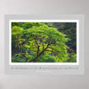 Recherche de henry david thoreau posters Nature