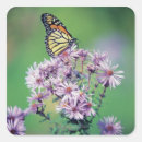 Recherche de monarque autocollants Mignon