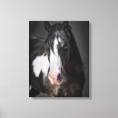 Recherche de cheval occidental art Couleur