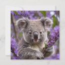 Recherche de ours koala vœux cartes Faune