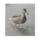 Recherche de canard drôle blocsnotes Animaux