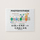 Recherche de formule puzzles Science