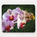Recherche de orchidées roses tapis souris Nature
