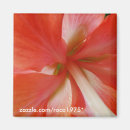 Recherche de macro de fleur magnets Fleurs