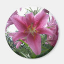 Recherche de beau pourpre magnets Fleurs