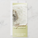 Recherche de dandelion invitations Doux