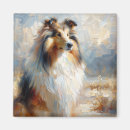 Recherche de colley magnets Chien de berger