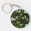 Recherche de jasmin porteclés Fleurs de jasmin