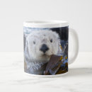 Recherche de lievre tasses Animal