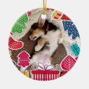 Recherche de corgi décorations de noël Pour tous