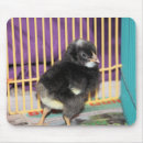 Recherche de poulet mignon tapis souris Volaille