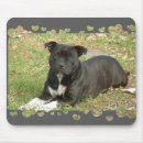 Recherche de bull terrier tapis souris Canin