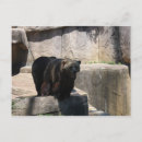 Recherche de zoologique cartes postales Animaux