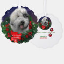 Recherche de pioche vœux cartes Vieux chien anglais