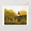 Recherche de buche cartes postales Bûche