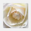 Recherche de macro de fleur magnets Rose