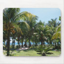 Recherche de climat tropical tapis souris Tranquille