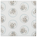 Recherche de coton de tulears Dog