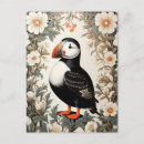 Recherche de oiseaux marins cartes postales Pour elle