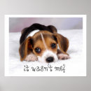 Recherche de de mur de chiot posters Chien