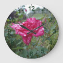 Recherche de buisson horloges Rose