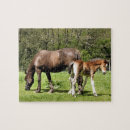 Recherche de jument puzzles Jument et poulain