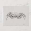 Recherche de dessin de crabe cartes postales Pour tous