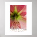 Recherche de commandant posters Couleur