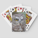 Recherche de hibou jeux de cartes Oiseau
