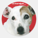 Recherche de russell autocollants Animaux