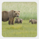 Recherche de ours abstrait autocollants Animal