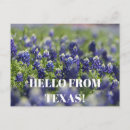 Recherche de bleuet cartes postales Lupin