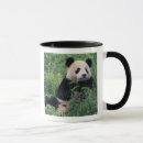 Recherche de ours panda géant tasses Asie