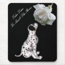 Recherche de odeur tapis souris Mignon