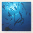 Recherche de poisson soleil dessous de verres Océan