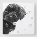 Recherche de chien mignon horloges Pour tous