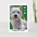 Recherche de terrier des montagnes occidental vœux cartes Westie