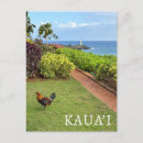 Recherche de kauai cartes postales Palmiers