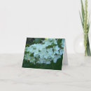 Recherche de hortensia vœux cartes Blanc