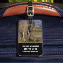 Recherche de elephant luggage tags Aventure